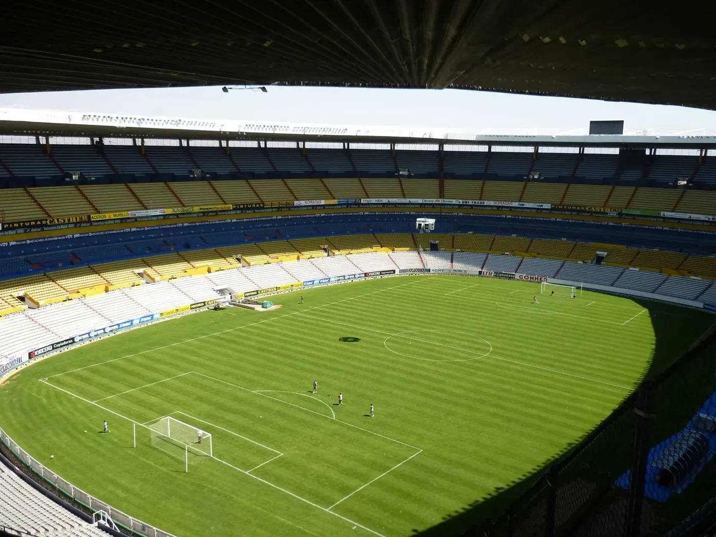 Atletas em várias modalidades esportivas