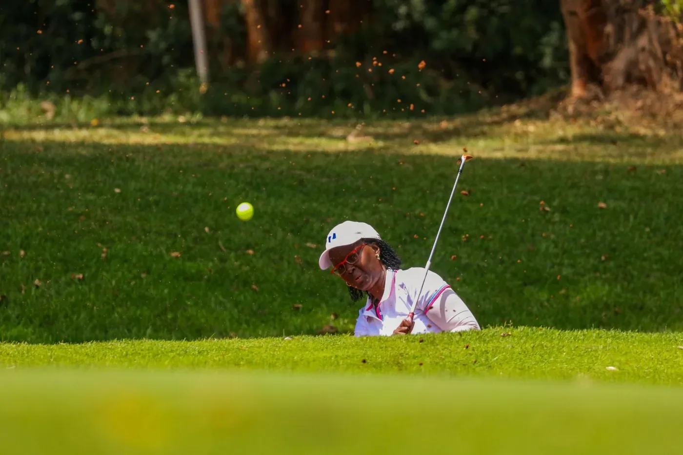 Golfe